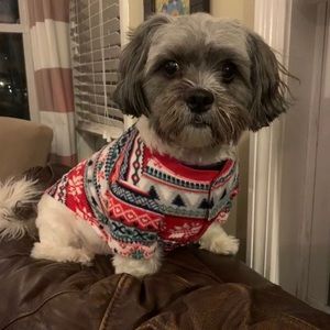 Meet your Posher, Brenda